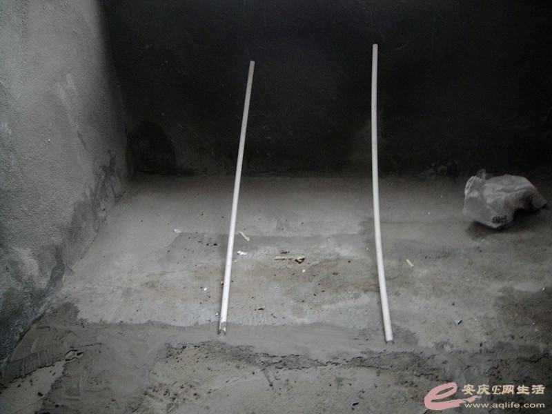 DSC03615_.jpg