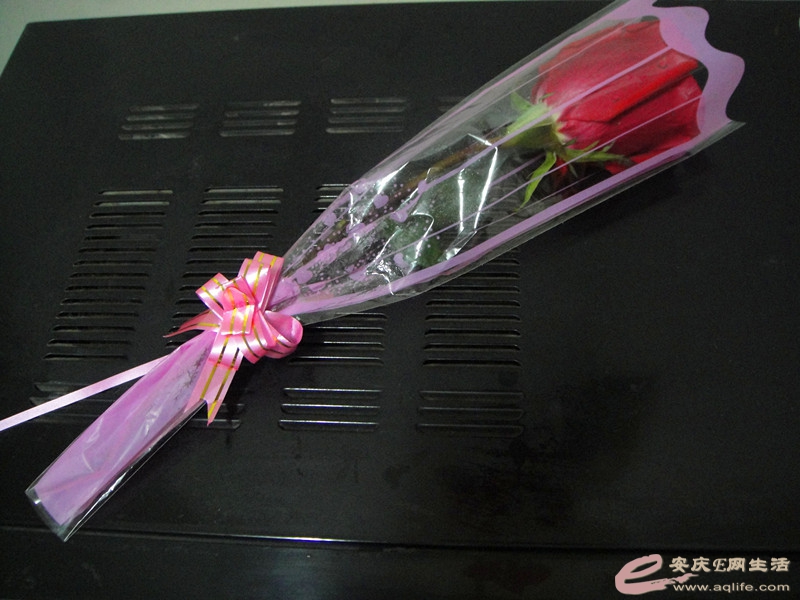 DSC03661_.jpg