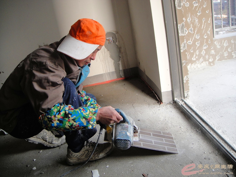 DSC03644_.jpg