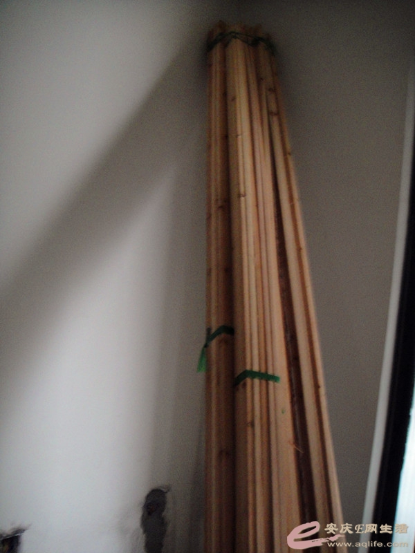 DSC03664_.jpg