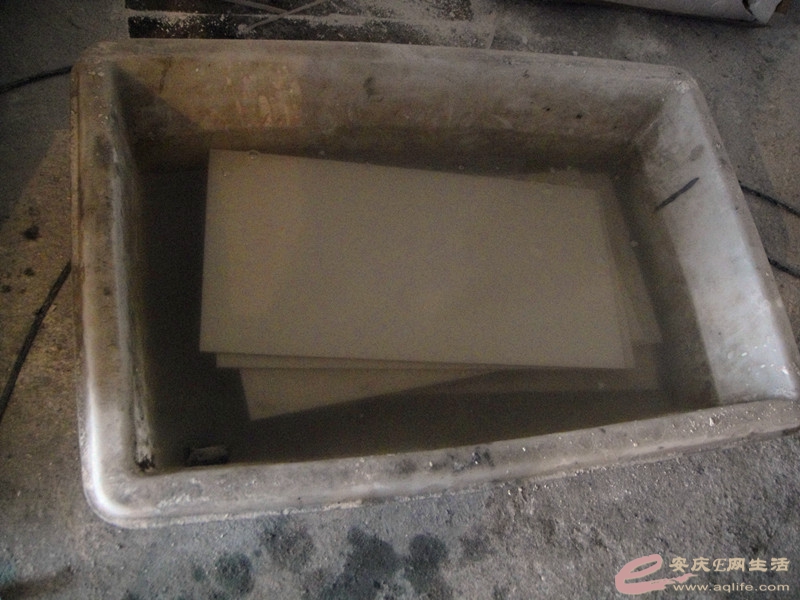 DSC03739_.jpg