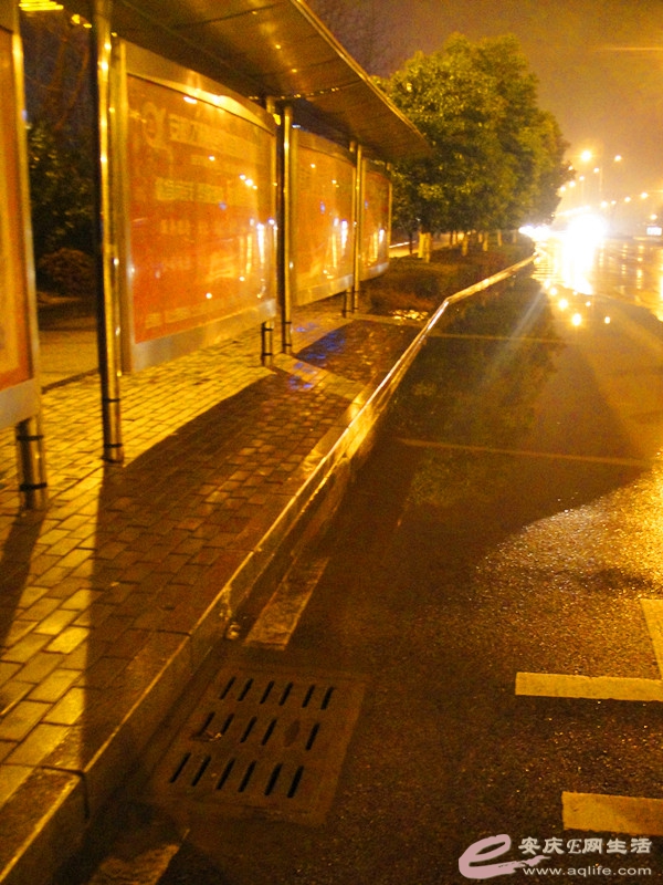 DSC03801_.jpg