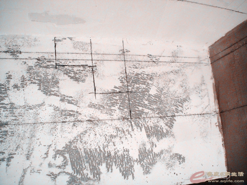 DSC03799_.jpg
