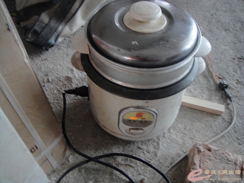 DSC03779_.jpg