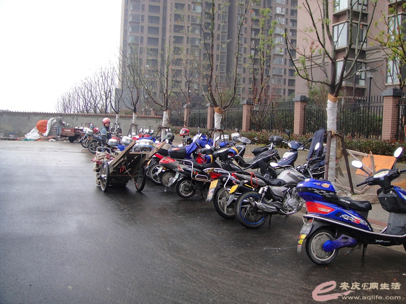 DSC03788_.jpg
