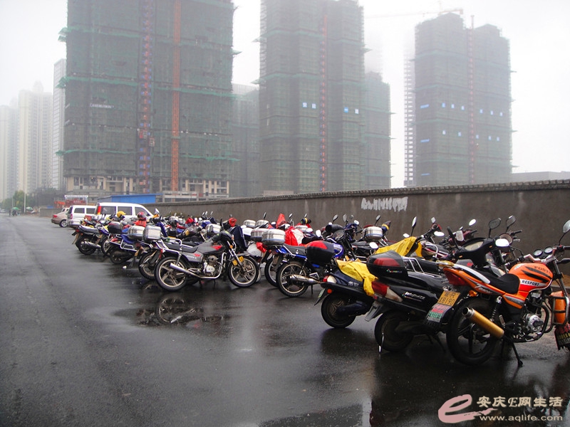 DSC03789_.jpg