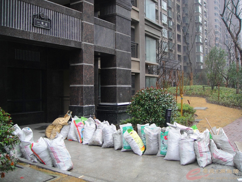 DSC03786_.jpg
