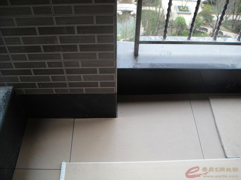 DSC03972_.jpg
