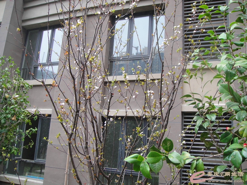 DSC03996_.jpg