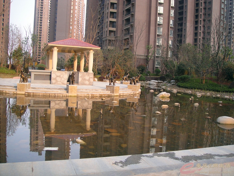 DSC03916_.jpg