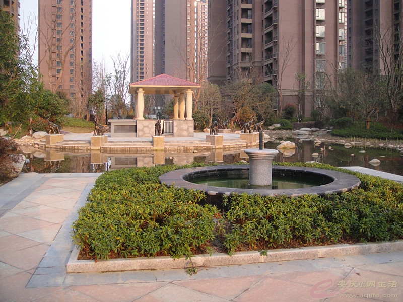 DSC03917_.jpg