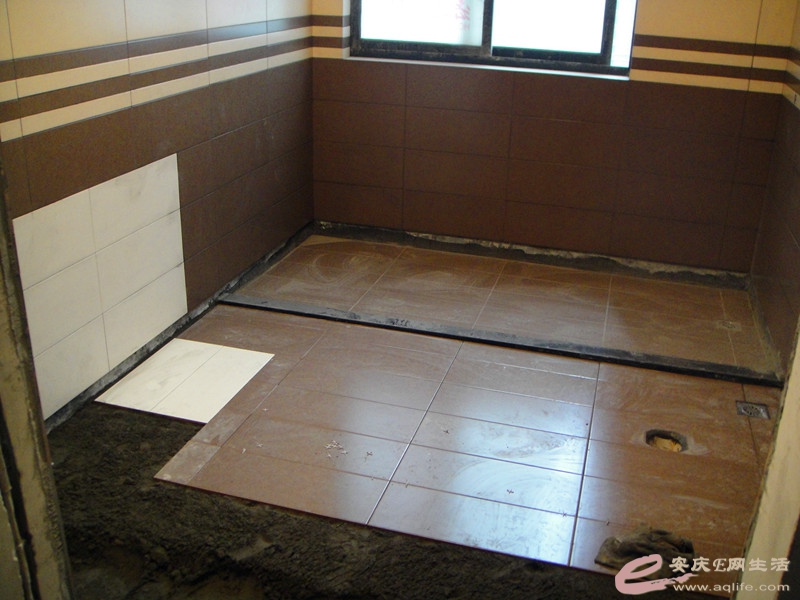 DSC04013_.jpg