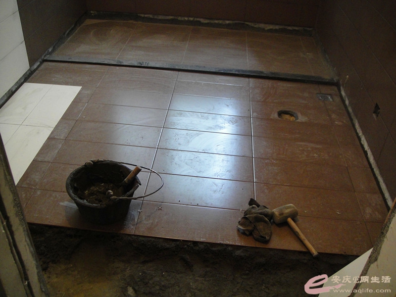 DSC04014_.jpg