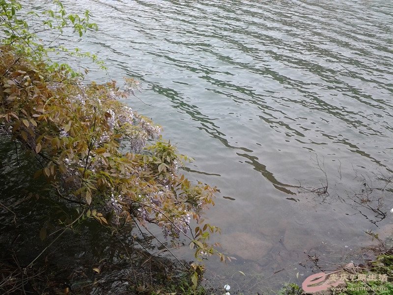 20140406_114948_.jpg