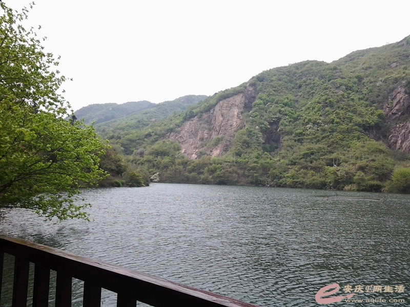 20140406_113301_.jpg