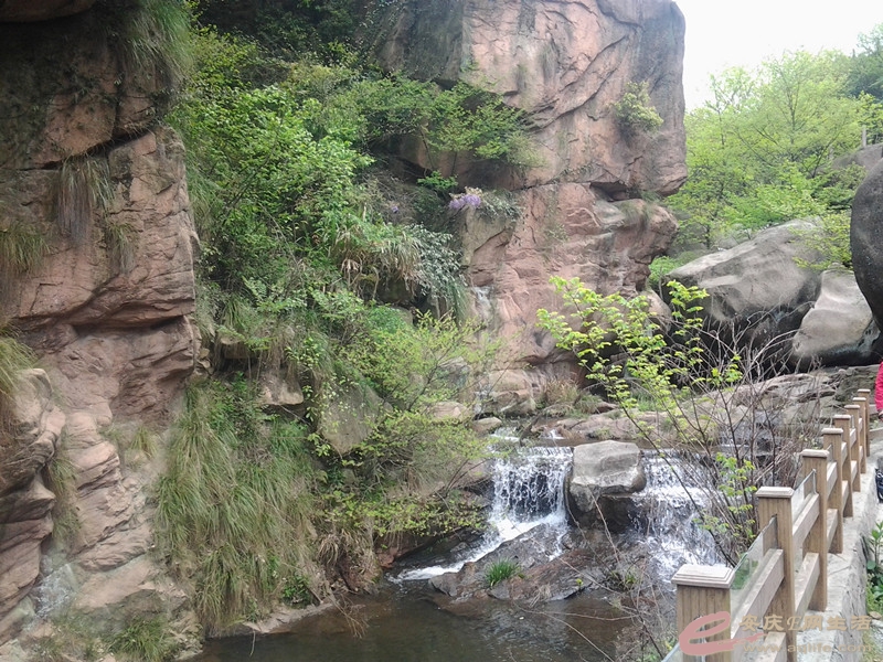 20140406_122552_.jpg