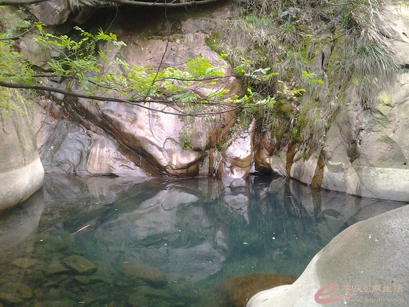 20140406_131457_.jpg