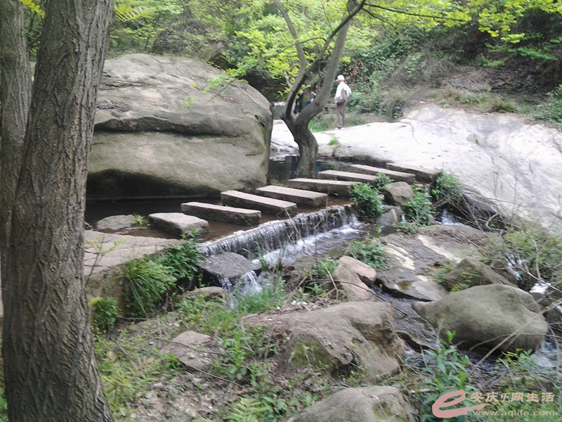 20140406_125446_.jpg
