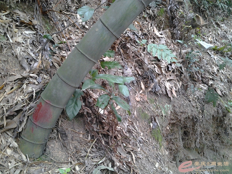 20140406_115100_.jpg