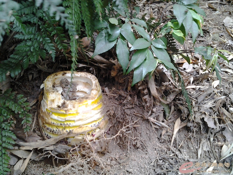 20140406_115127_.jpg