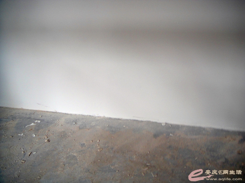 DSC04311_.jpg