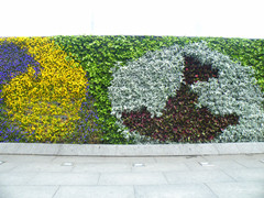 DSCF1212_.jpg