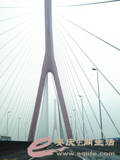 DSCF1244_.jpg