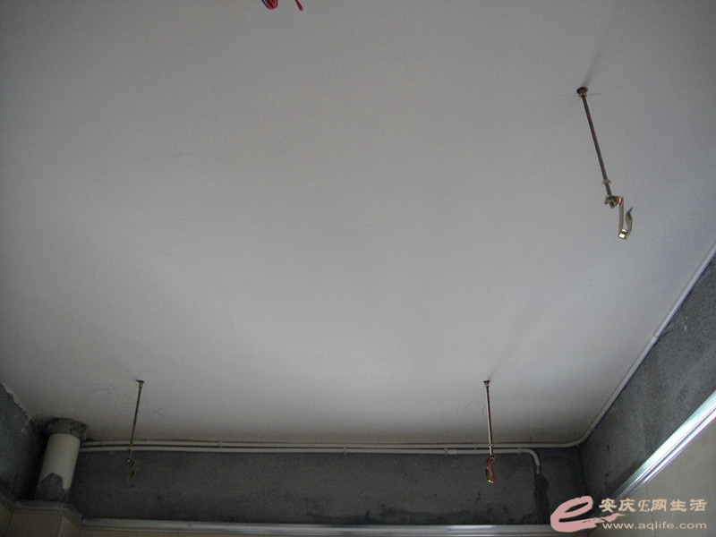 DSC04387_.jpg