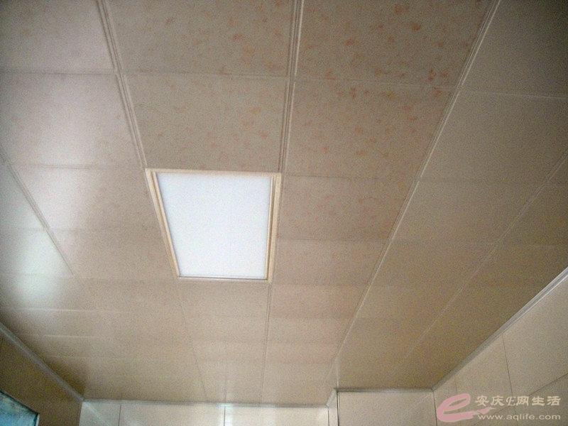 DSC04410_.jpg