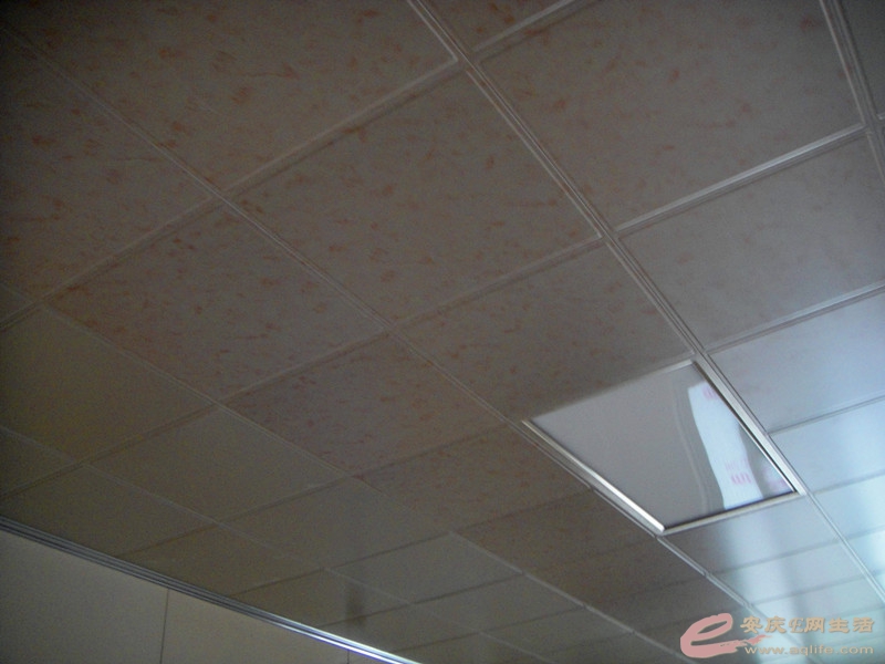 DSC04412_.jpg
