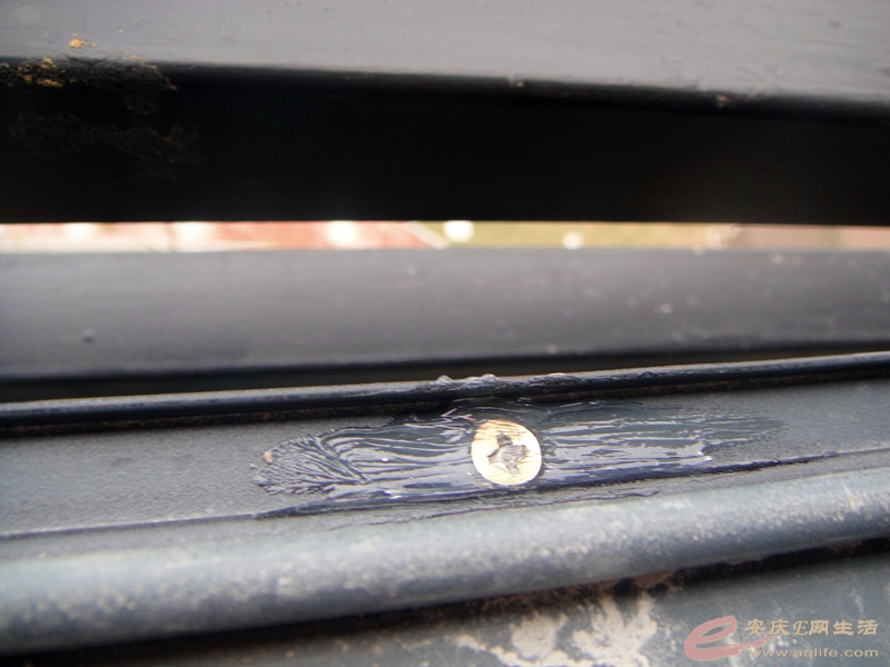 DSC04573_.jpg