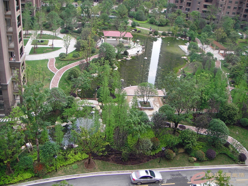 DSC04618_.jpg