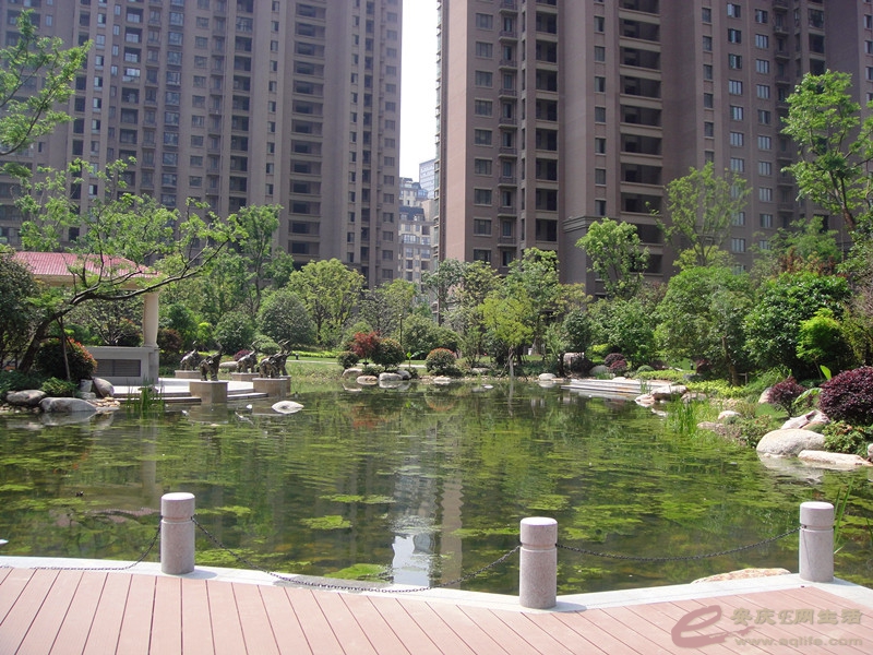DSC04646_.jpg