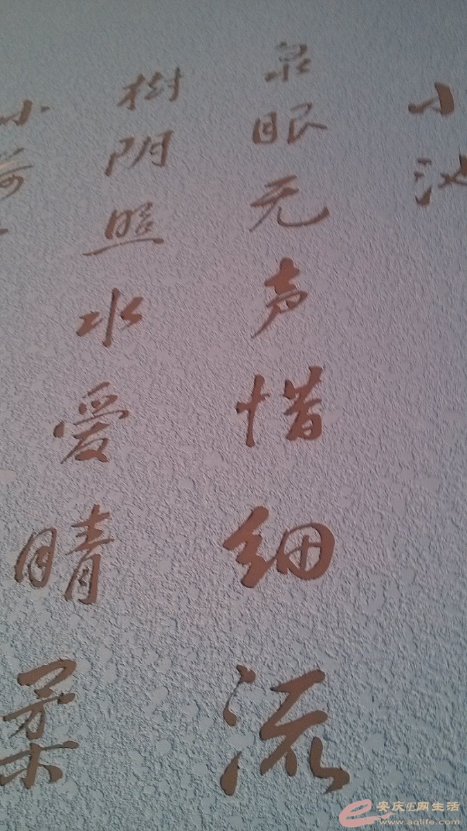 Ū.jpg