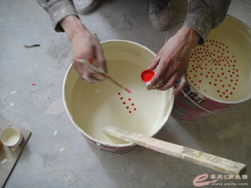DSC04729_.jpg