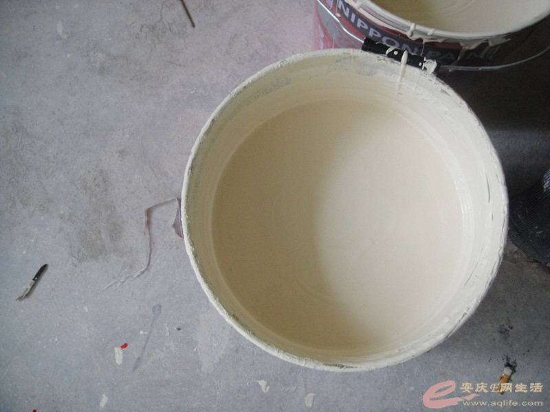 DSC04740_.jpg