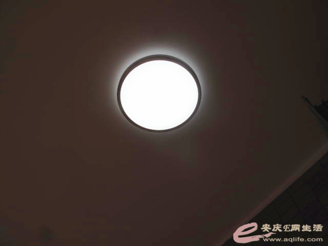 IMG_0003_̨.jpg