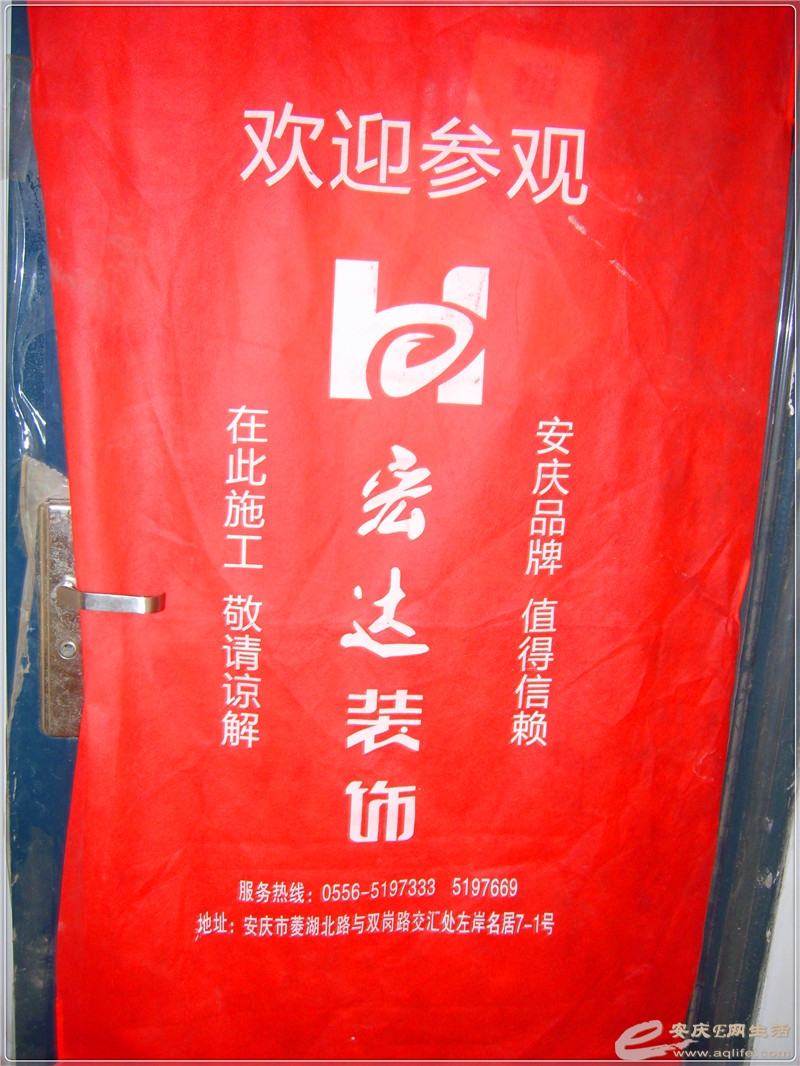 S8301650.jpg