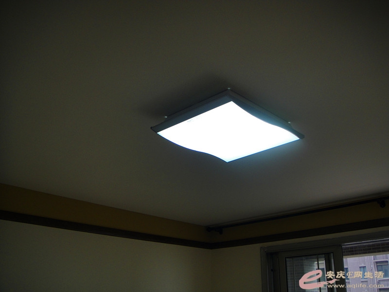 DSC04870_.jpg