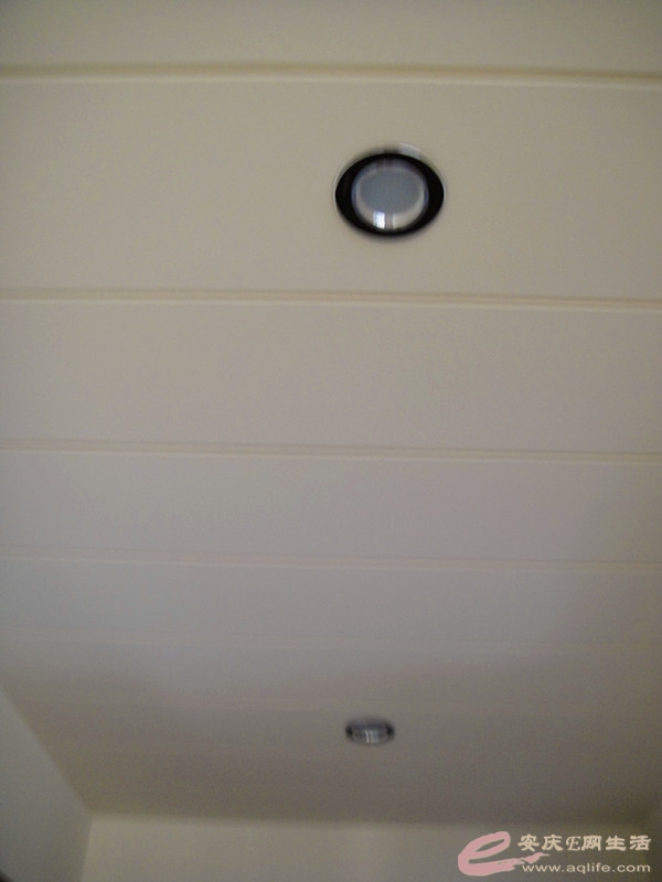 DSC05454_.jpg