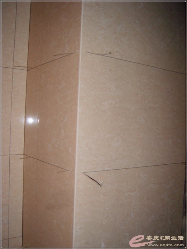 S8301753_.jpg