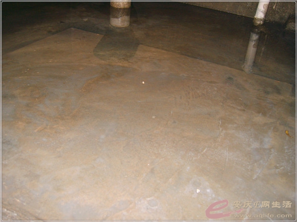 S8301841_.jpg