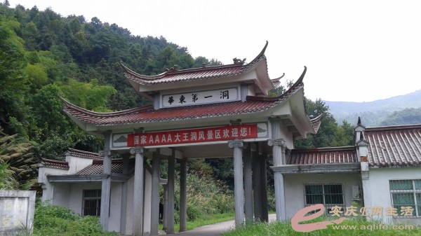 conew_20140729_125001.jpg