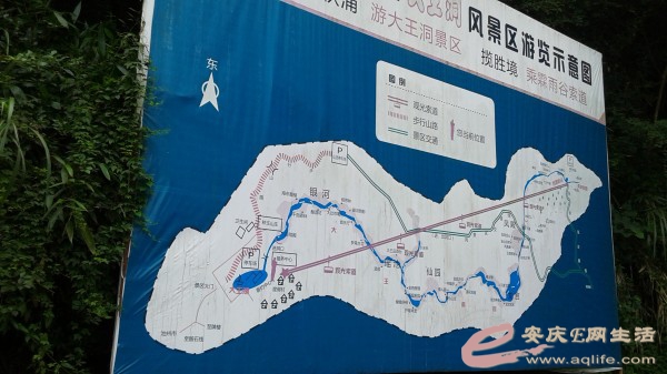 conew_20140729_100530.jpg