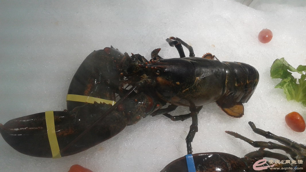 20140730_173349.jpg