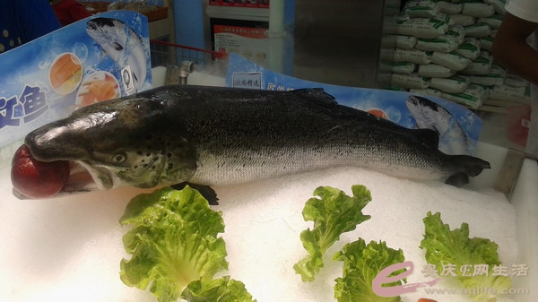 20140730_173354.jpg