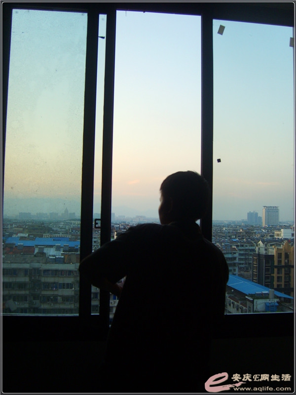 S8301870.jpg