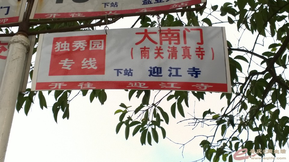 公交独秀园专线一日游采风照片