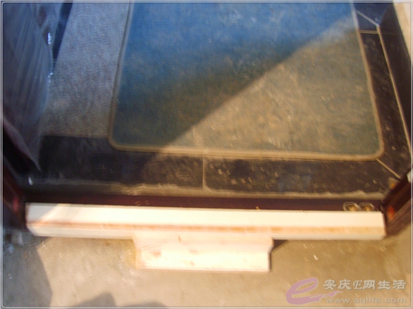 S8301907.jpg