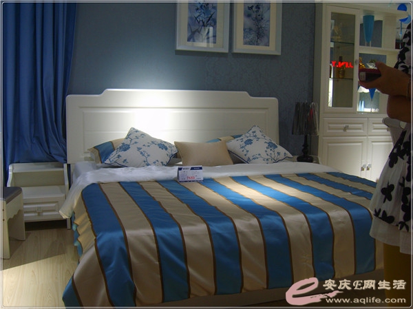 S8301960.jpg